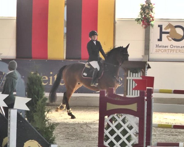 Reitturnier Karlsfeld/Obb. 2020
