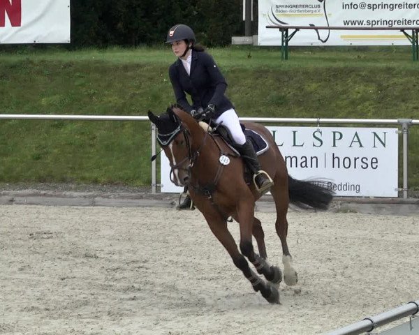 Reitturnier Durmersheim-Hardt 2021