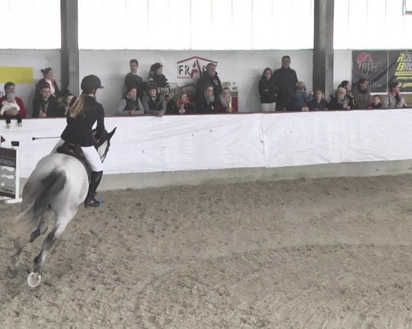 Reitturnier Karlsfeld/Obb. 2020