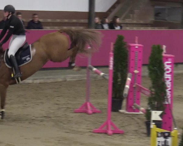 Reitturnier Vlotho-Exter 2020