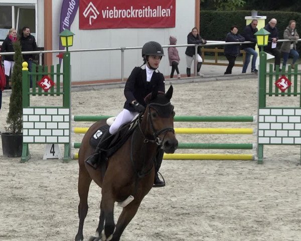 Reitturnier Durmersheim-Hardt 2021