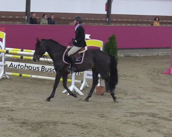 Reitturnier Vlotho-Exter 2020