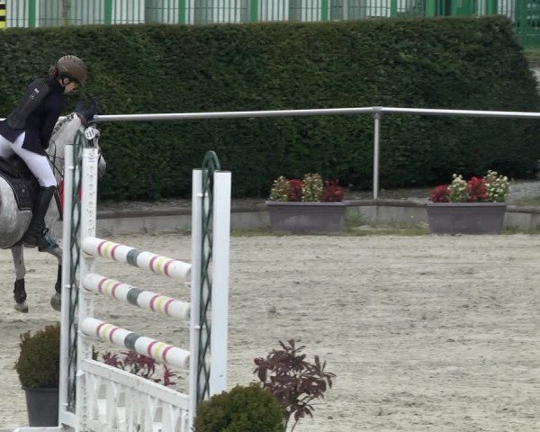 Reitturnier Durmersheim-Hardt 2021