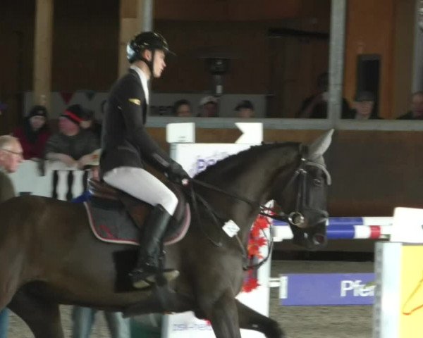 Reitturnier Dettingen 2020