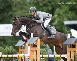 broodmare Coconut Chocolate (Westphalian, 2010, from Cornado NRW)