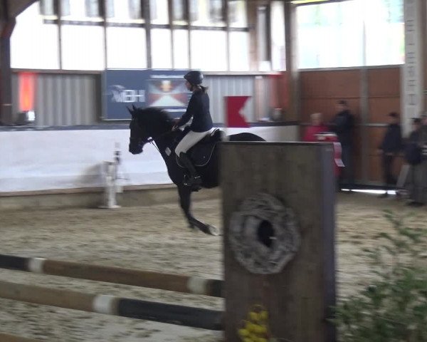 Reitturnier Lindlar-Süttenbach 2020