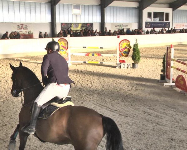 Reitturnier Karlsfeld/Obb. 2020