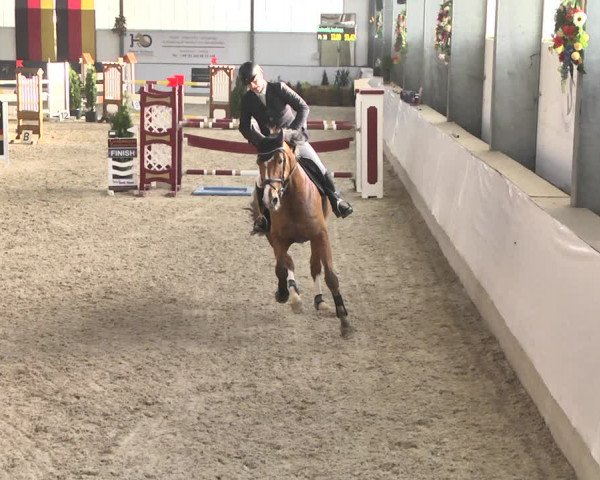 Reitturnier Karlsfeld/Obb. 2020
