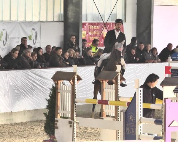Reitturnier Karlsfeld/Obb. 2020