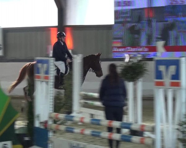 Reitturnier Lindlar-Süttenbach 2020