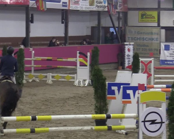 Reitturnier Vlotho-Exter 2020