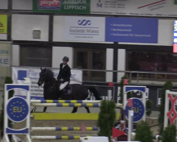 Reitturnier Vlotho-Exter 2020