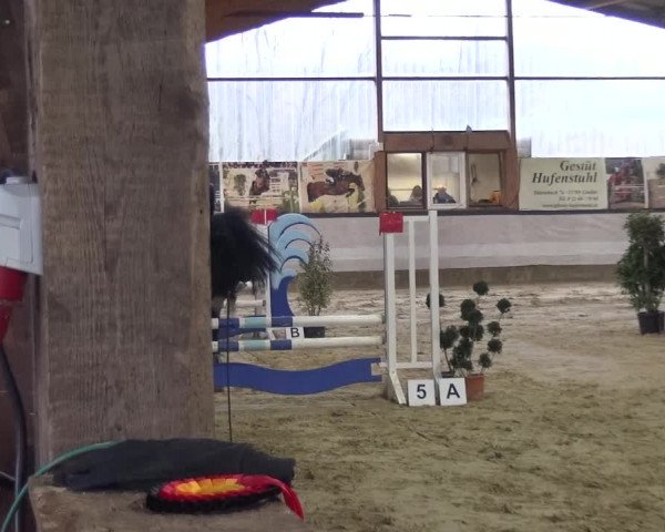 Reitturnier Lindlar-Süttenbach 2020