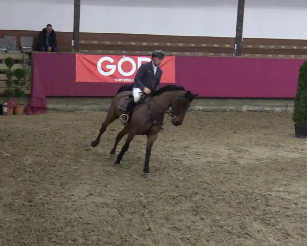 Reitturnier Vlotho-Exter 2020