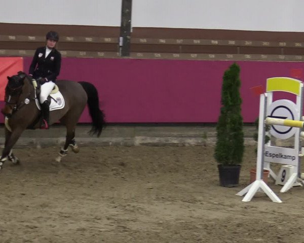 Reitturnier Vlotho-Exter 2020