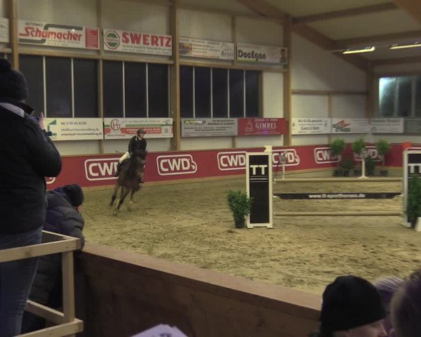Reitturnier Goch-Asperden 2020