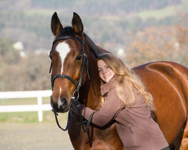 Pferd Amy (Deutsches Sportpferd, 2010, von Simonetti)
