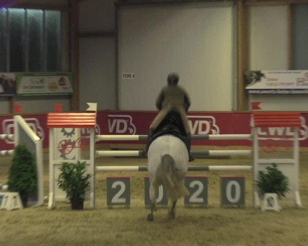 Reitturnier Goch-Asperden 2020