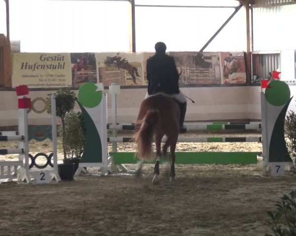 Reitturnier Lindlar-Süttenbach 2020