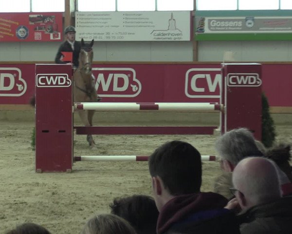 Reitturnier Goch-Asperden 2020