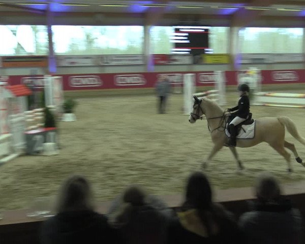 Reitturnier Goch-Asperden 2020