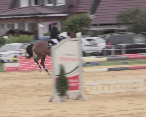 Reit- und Springturnier Dingelstädt 2021