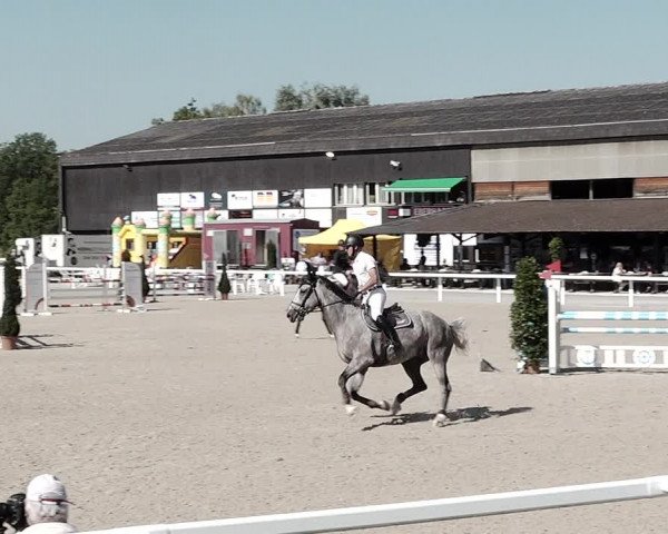 Pferdesporttage Bülach 2021