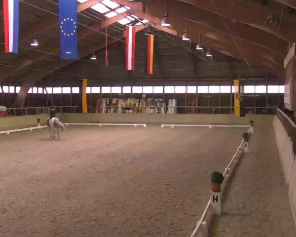 Reitturnier Heidelberg-Kirchheim 2020