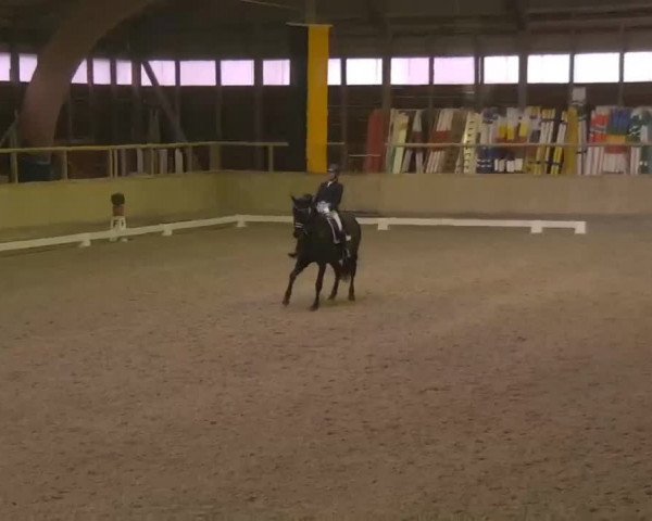 Reitturnier Heidelberg-Kirchheim 2020