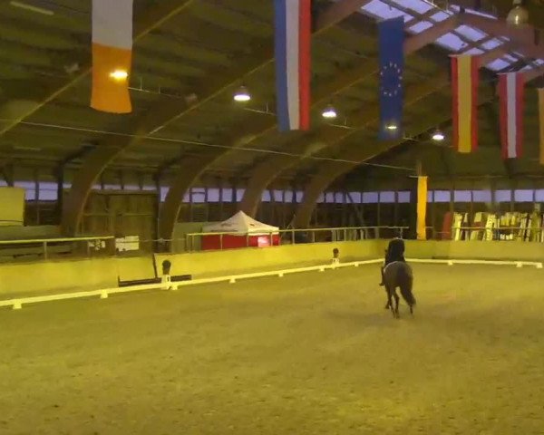Reitturnier Heidelberg-Kirchheim 2020
