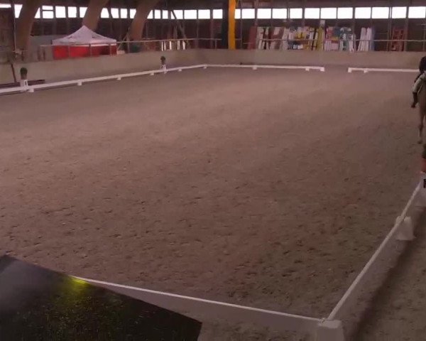 Reitturnier Heidelberg-Kirchheim 2020