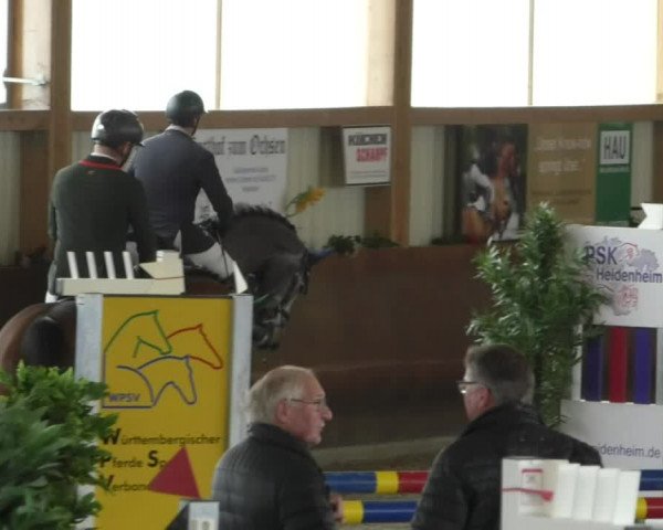 Reitturnier Dettingen 2020