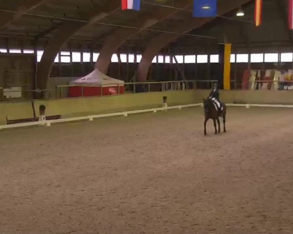 Reitturnier Heidelberg-Kirchheim 2020
