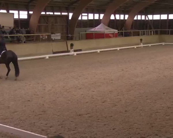 Reitturnier Heidelberg-Kirchheim 2020