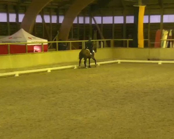 Reitturnier Heidelberg-Kirchheim 2020