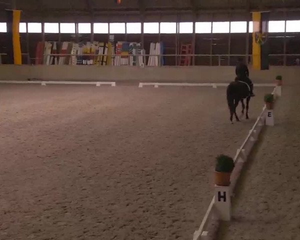 Reitturnier Heidelberg-Kirchheim 2020