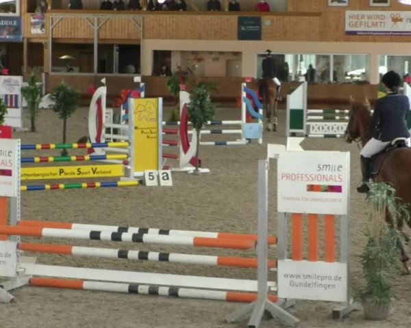Reitturnier Dettingen 2020