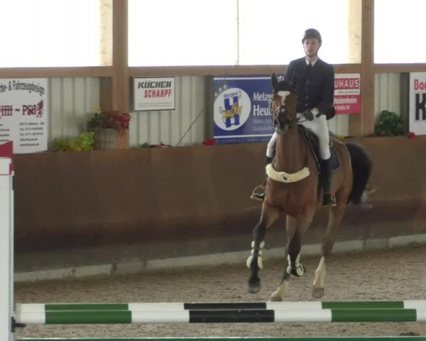 Reitturnier Dettingen 2020