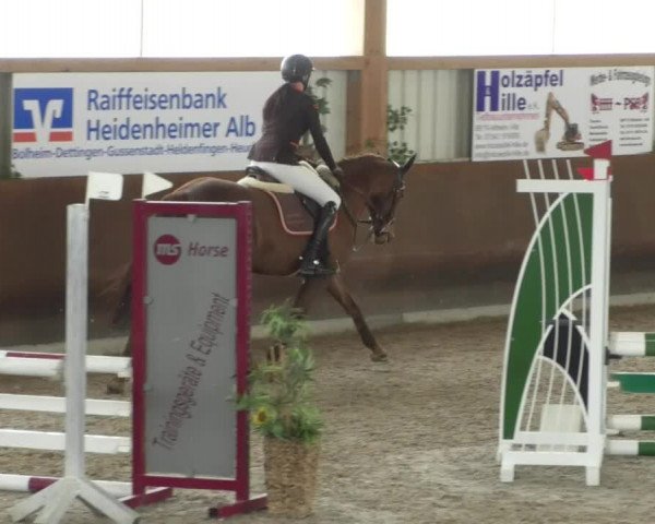 Reitturnier Dettingen 2020