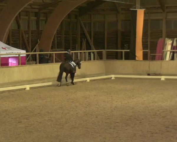 Reitturnier Heidelberg-Kirchheim 2020