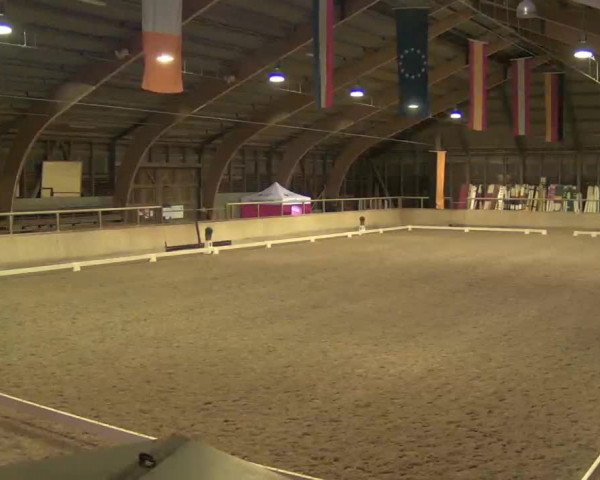Reitturnier Heidelberg-Kirchheim 2020