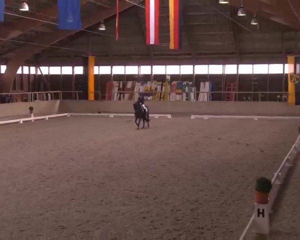 Reitturnier Heidelberg-Kirchheim 2020