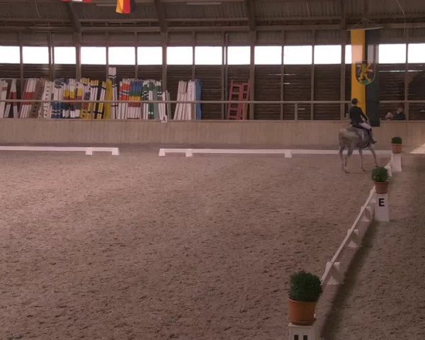Reitturnier Heidelberg-Kirchheim 2020