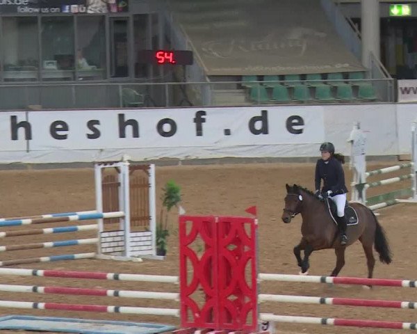 Reitturnier Kreuth/Opf. 2020