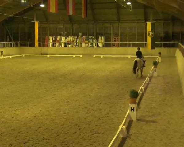 Reitturnier Heidelberg-Kirchheim 2020