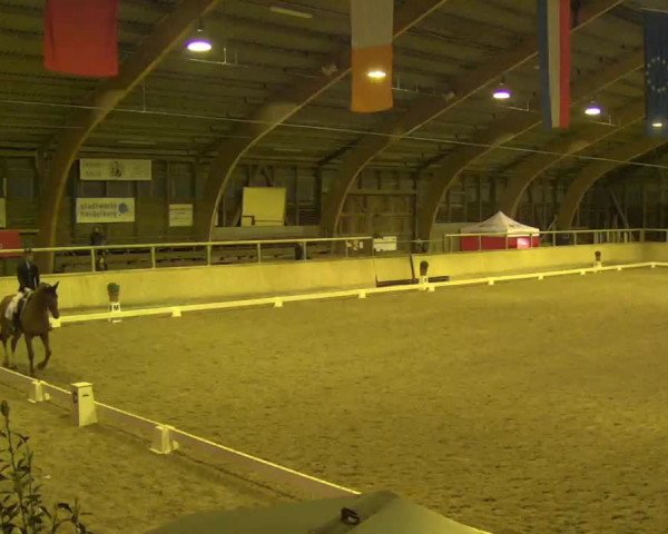 Reitturnier Heidelberg-Kirchheim 2020