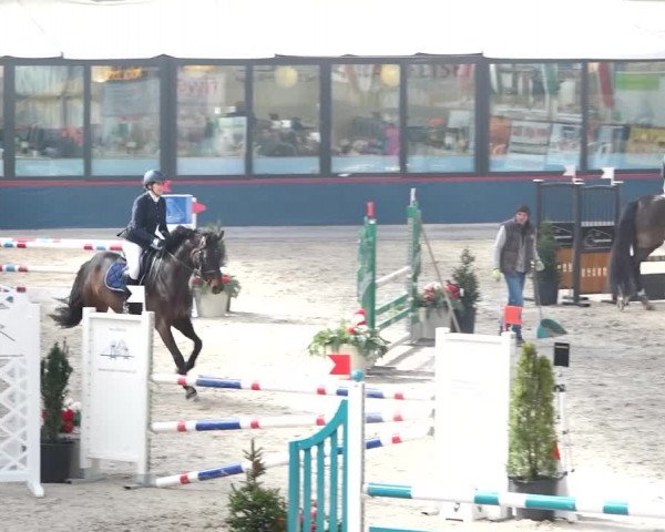 Reitturnier Oberriet 2020