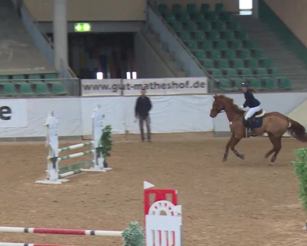 Reitturnier Kreuth/Opf. 2020