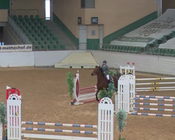 Reitturnier Kreuth/Opf. 2020