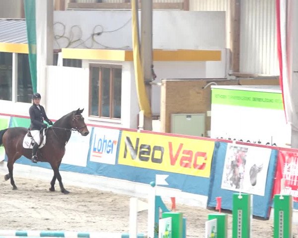 Reitturnier Oberriet 2020
